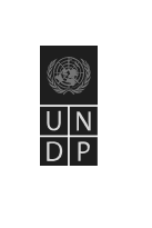 UNDP logo